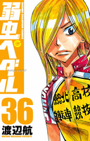 yowapedal_v36_000.jpg